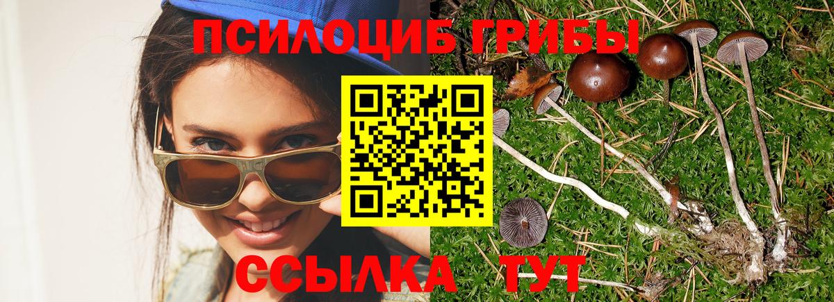 Псилоцибиновые грибы мицелий Ликино-Дулёво